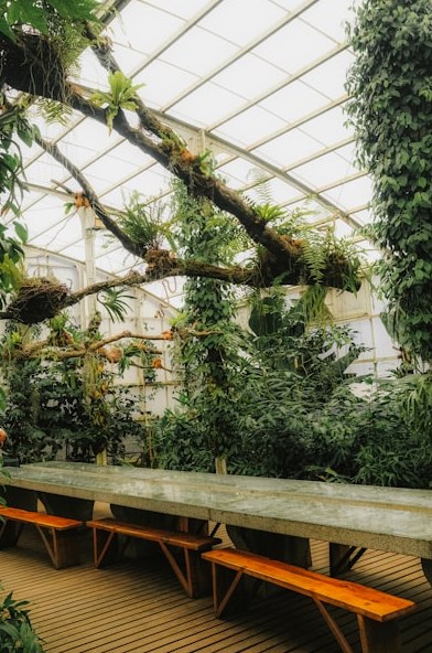 AG真人平台庄闲概率算牌详解：提升胜率的实用技巧