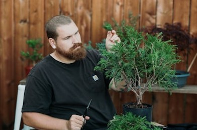 AG真人官方网站:牛牛游戏攻略,助你轻松制胜